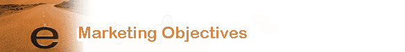 marketing objectives